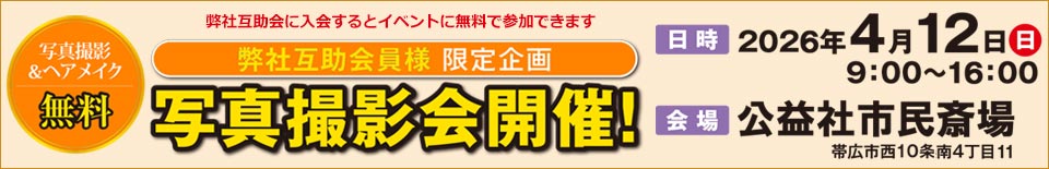 �̿����Ʋ�